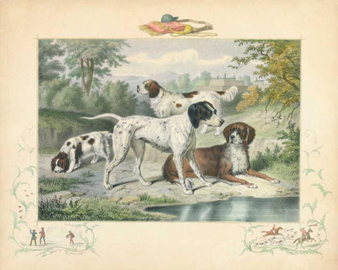 A Group of Spaniels White Modern Wood Framed Art Print with Double Matting by Unknown