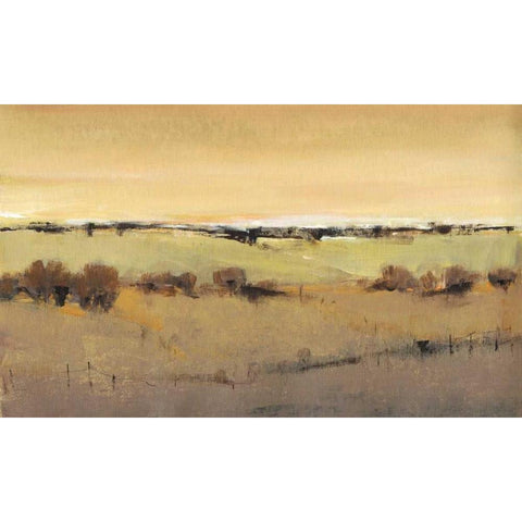 Golden Pasture I Black Modern Wood Framed Art Print with Double Matting by OToole, Tim