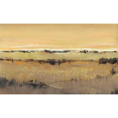 Golden Pasture II White Modern Wood Framed Art Print by OToole, Tim