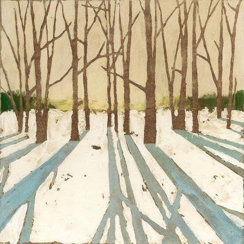 Winter Shadows II Black Modern Wood Framed Art Print with Double Matting by Meagher, Megan