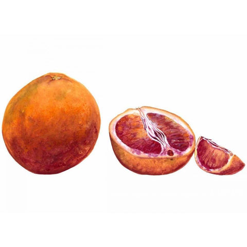 Watercolor Blood Orange Black Modern Wood Framed Art Print with Double Matting by Willett, Michael