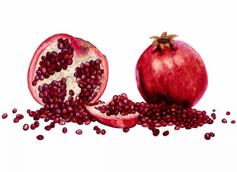 Watercolor Pomegranate White Modern Wood Framed Art Print with Double Matting by Willett, Michael