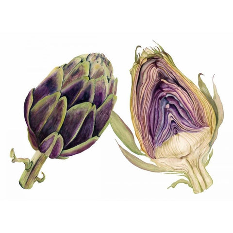 Watercolor Artichoke Black Modern Wood Framed Art Print with Double Matting by Willett, Michael