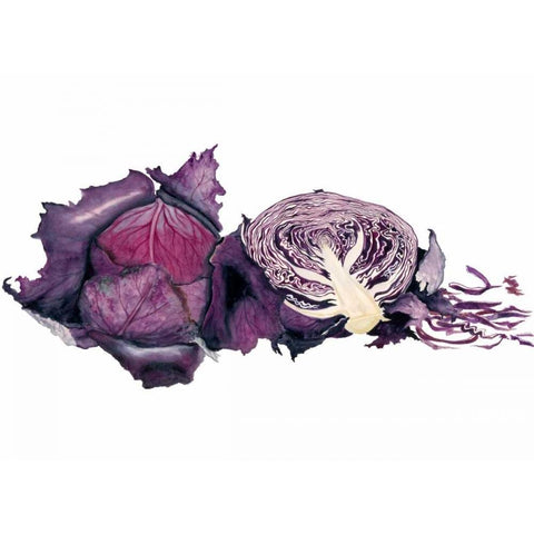 Watercolor Purple Cabbage Black Modern Wood Framed Art Print by Willett, Michael