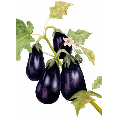 Watercolor Eggplant Gold Ornate Wood Framed Art Print with Double Matting by Willett, Michael