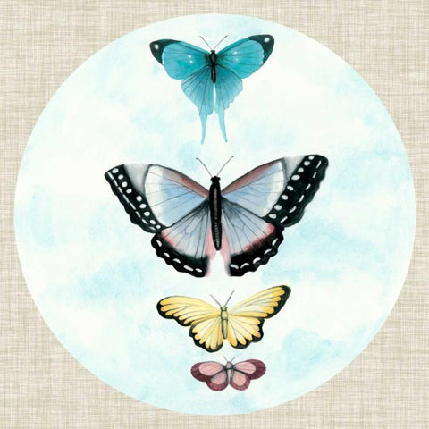 Butterfly Daydream II White Modern Wood Framed Art Print with Double Matting by McCavitt, Naomi