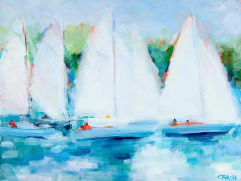 Youth Regatta White Modern Wood Framed Art Print with Double Matting by Crain, Curt