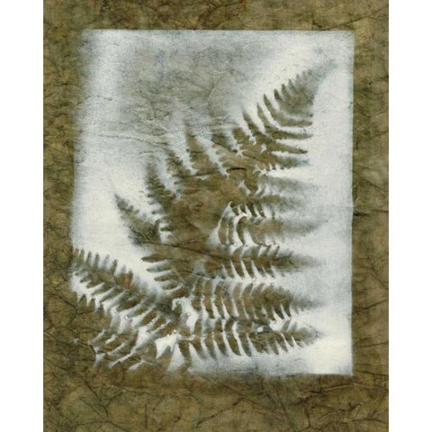 Shadows and Ferns I Gold Ornate Wood Framed Art Print with Double Matting by Stramel, Renee W.
