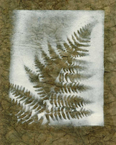 Shadows and Ferns I Black Ornate Wood Framed Art Print with Double Matting by Stramel, Renee W.