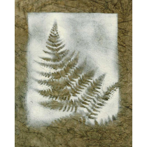 Shadows and Ferns II White Modern Wood Framed Art Print by Stramel, Renee W.