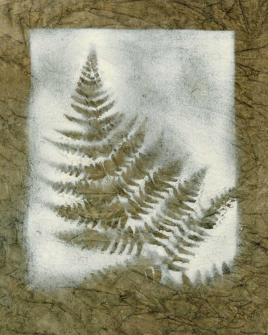 Shadows and Ferns II White Modern Wood Framed Art Print with Double Matting by Stramel, Renee W.