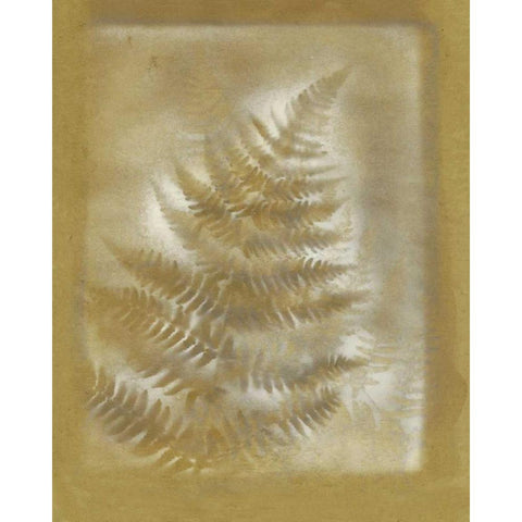 Shadows and Ferns III Gold Ornate Wood Framed Art Print with Double Matting by Stramel, Renee W.