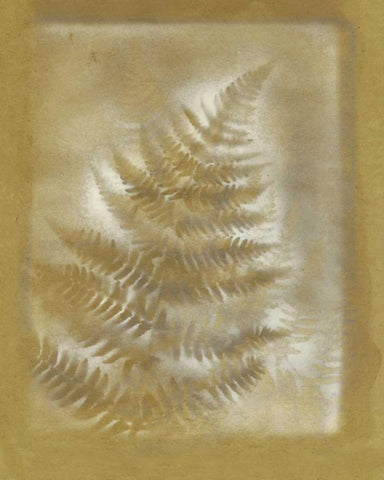 Shadows and Ferns III Black Ornate Wood Framed Art Print with Double Matting by Stramel, Renee W.