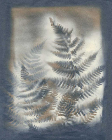 Shadows and Ferns V White Modern Wood Framed Art Print with Double Matting by Stramel, Renee W.