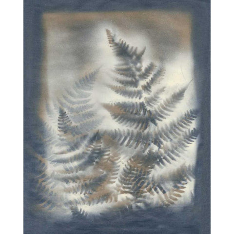Shadows and Ferns V Black Modern Wood Framed Art Print by Stramel, Renee W.