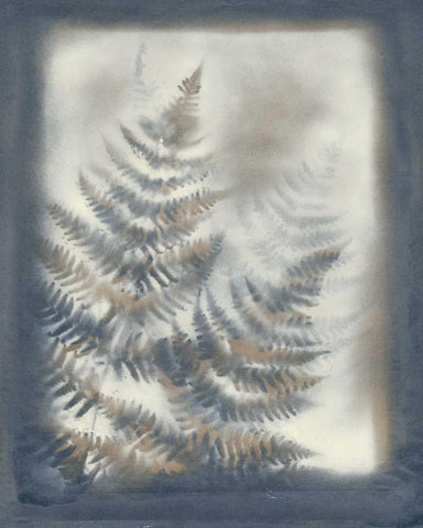 Shadows and Ferns VI Black Ornate Wood Framed Art Print with Double Matting by Stramel, Renee W.
