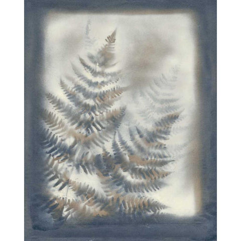 Shadows and Ferns VI Gold Ornate Wood Framed Art Print with Double Matting by Stramel, Renee W.