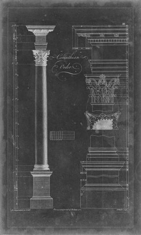 Corinthian Order Blueprint White Modern Wood Framed Art Print with Double Matting by Chippendale, Thomas