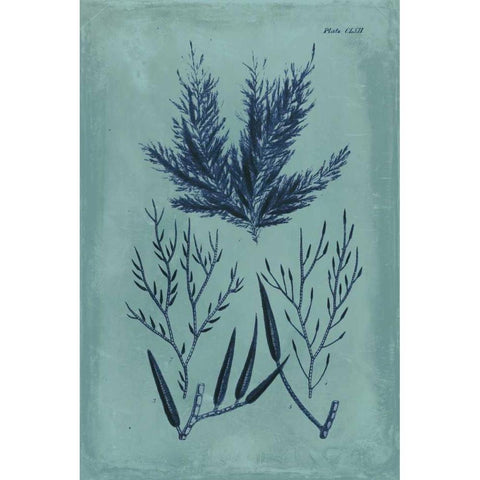 Indigo and Azure Seaweed I White Modern Wood Framed Art Print by Vision Studio