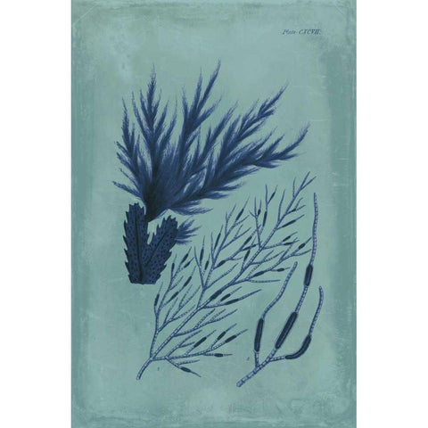 Indigo and Azure Seaweed II Black Modern Wood Framed Art Print with Double Matting by Vision Studio