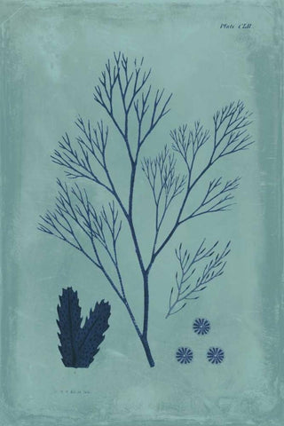 Indigo and Azure Seaweed V White Modern Wood Framed Art Print with Double Matting by Vision Studio