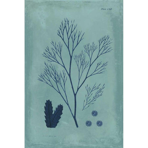 Indigo and Azure Seaweed V Gold Ornate Wood Framed Art Print with Double Matting by Vision Studio