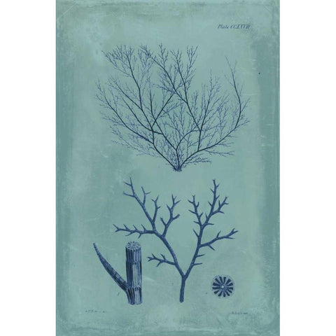 Indigo and Azure Seaweed VII Black Modern Wood Framed Art Print by Vision Studio