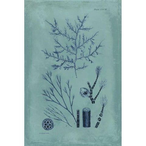 Indigo and Azure Seaweed VIII White Modern Wood Framed Art Print by Vision Studio