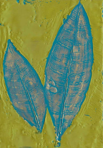 Tropicale I White Modern Wood Framed Art Print with Double Matting by Ludwig, Alicia