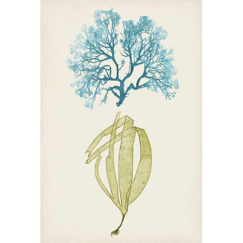 Aqua and Citron Coral IV Gold Ornate Wood Framed Art Print with Double Matting by Vision Studio