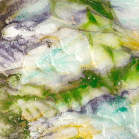 Tidal Spring II Black Modern Wood Framed Art Print by Chandler, Sharon