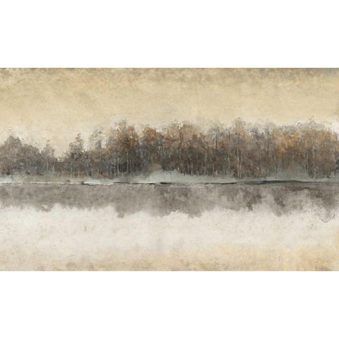 Edgewater II Gold Ornate Wood Framed Art Print with Double Matting by Tim OToole
