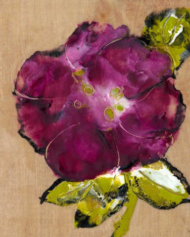 Camellia Passion II White Modern Wood Framed Art Print with Double Matting by Ludwig, Alicia