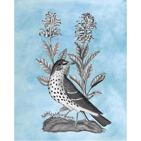 Bird on Blue I Black Modern Wood Framed Art Print with Double Matting by McCavitt, Naomi