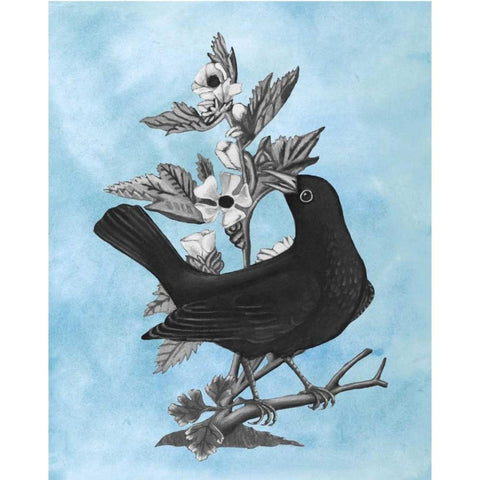 Bird on Blue II Black Modern Wood Framed Art Print with Double Matting by McCavitt, Naomi