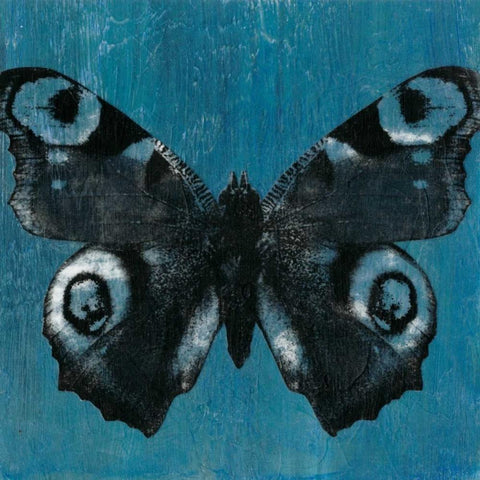 Chambray Butterflies I Black Ornate Wood Framed Art Print with Double Matting by McCavitt, Naomi