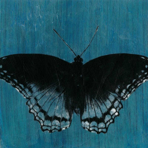 Chambray Butterflies II Black Modern Wood Framed Art Print with Double Matting by McCavitt, Naomi