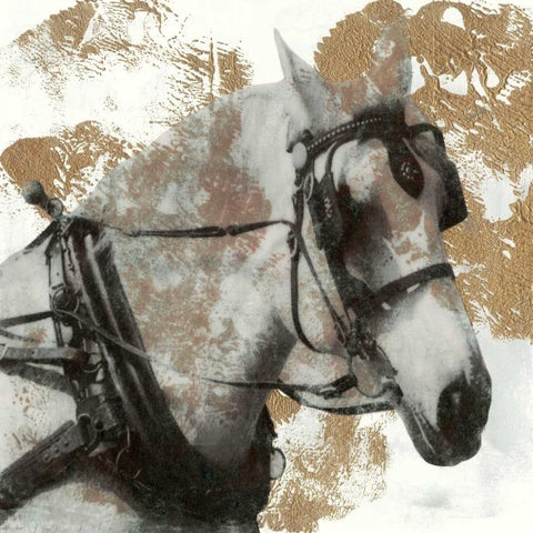 Driving Horses II White Modern Wood Framed Art Print with Double Matting by McCavitt, Naomi