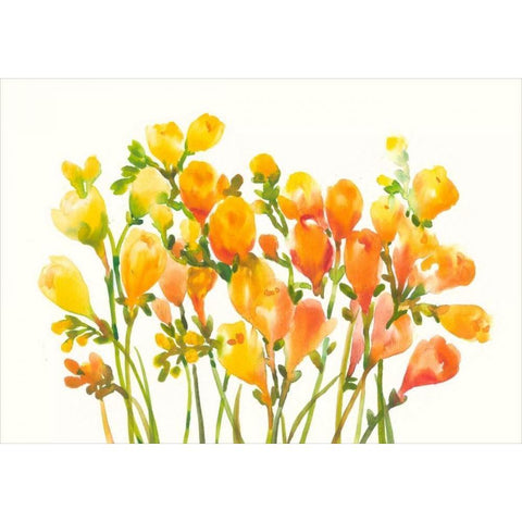 Freesia I Gold Ornate Wood Framed Art Print with Double Matting by OToole, Tim