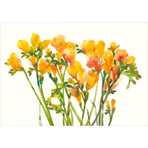 Freesia II White Modern Wood Framed Art Print by OToole, Tim