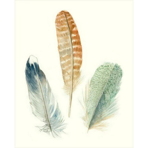 Watercolor Feathers IV Black Modern Wood Framed Art Print with Double Matting by Marie, Meg