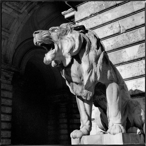 Architecture Detail VI Budapest Black Modern Wood Framed Art Print with Double Matting by DeNardo, Laura