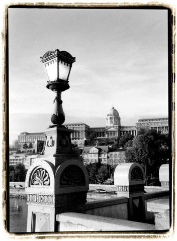 Steps to Fishermans Bastion Black Ornate Wood Framed Art Print with Double Matting by DeNardo, Laura
