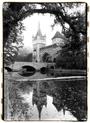 Castle Reflections, Vajdahunyad Black Ornate Wood Framed Art Print with Double Matting by DeNardo, Laura