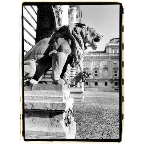 Standing Guard, Royal Palace Black Modern Wood Framed Art Print with Double Matting by DeNardo, Laura