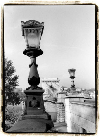 Chain Bridge over the Danube River Black Ornate Wood Framed Art Print with Double Matting by DeNardo, Laura