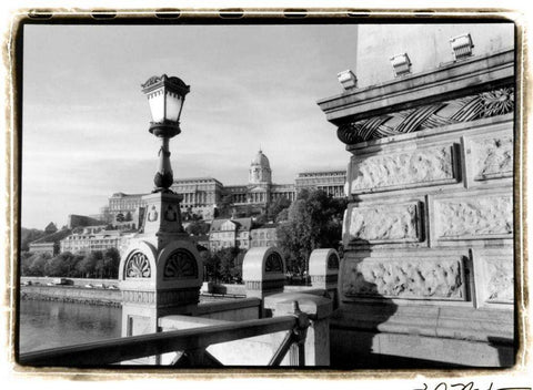 View of the Royal Palace, Budapest Black Ornate Wood Framed Art Print with Double Matting by DeNardo, Laura