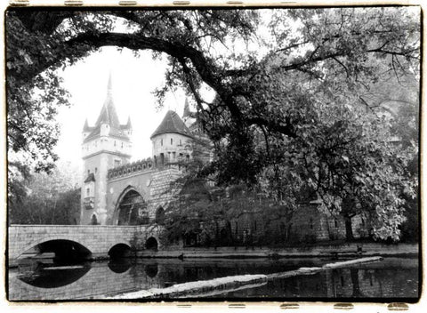 Vajdahunyad Castle, Budapest Black Ornate Wood Framed Art Print with Double Matting by DeNardo, Laura