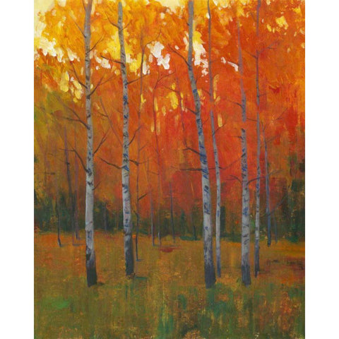 Changing Colors I White Modern Wood Framed Art Print by OToole, Tim