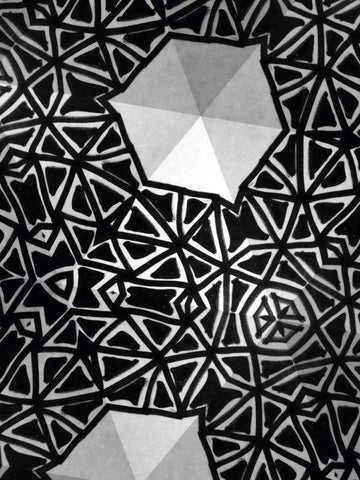 Buckminster II Black Ornate Wood Framed Art Print with Double Matting by Stramel, Renee W.